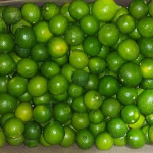Fresh Lemons