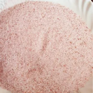 Himalayan Pink Salt by WorldWide Eximp