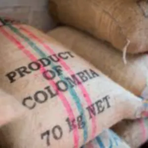 Green Coffee Beans - Origin: Santander - Colombia - Image 5