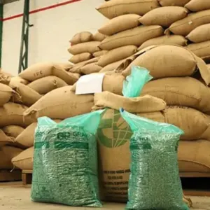 Green Coffee Beans - Origin: Santander - Colombia - Image 3