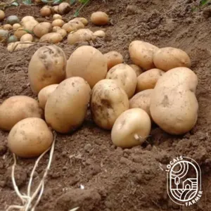 Granola Potatoes by Locals Farmer