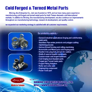 OEM & ODM Customization Cold Forging And Precision Machining Parts made in Taiwan by Shining Jins Enterprise Co., Ltd.