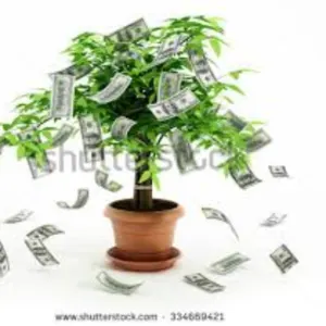 Business and Project Loans/Financing Available by Nepolos Prosperity Financial Investors Group