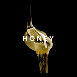 Arabica Kintamani Honey Processed Green Coffee Beans by Royala Nusantara