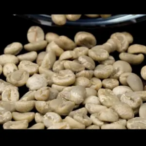 Arabica Kintamani Washed Processed Green Coffee Beans by Royala Nusantara