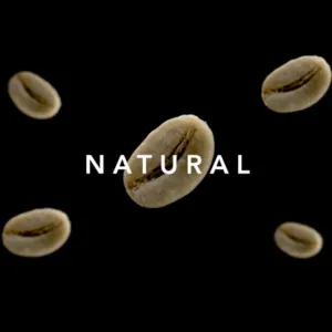 Arabica Kintamani Natural Processed Green Coffee Beans by Royala Nusantara