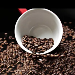Arabica Kintamani Roasted Coffee Beans by Royala Nusantara