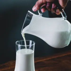 Dairy Products by Eco-friendly Products inc.