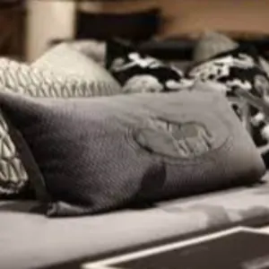 Pillows by Nike