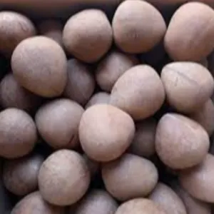 DRY COCONUT by KASTURI COCONUT PROCESSING