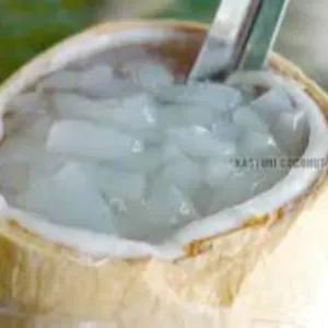 NATA DE COCO(COCONUT JELLY) by KASTURI COCONUT PROCESSING
