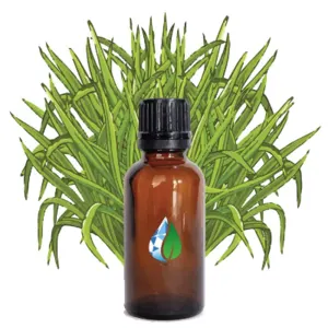 Citronella Oil by PT GLOBALINDO MEGA AROMA