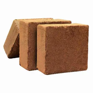 Coco Peat 5Kg Block