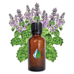 Patchouli Oil by PT GLOBALINDO MEGA AROMA