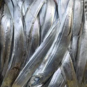 Ribbonfish
