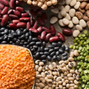 Pulses