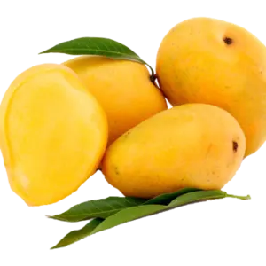 Mango by SEALINE OVERSEAS