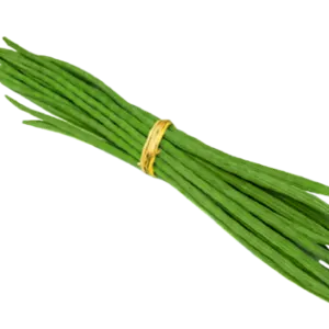 Drumstick by SEALINE OVERSEAS