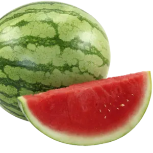 Watermelon by SEALINE OVERSEAS
