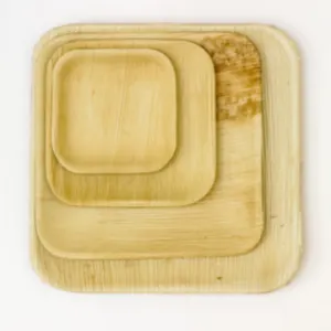 Areca Leaf Plates
