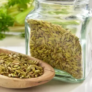 Fennel seeds by TDS EXPORTS