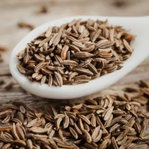 Cumin seeds by TDS EXPORTS