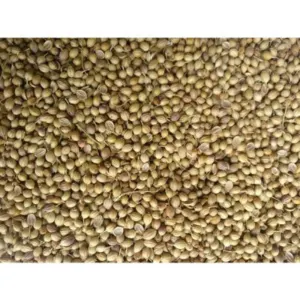 Organic Coriander Whole Seeds by Newegg