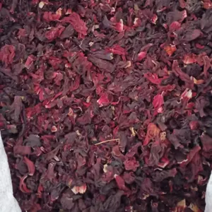 Hibiscus Sabdariffa by Jona Worldwide
