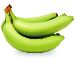 G9 CAVENDISH BANANA - Image 2