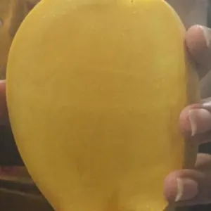 Fresh Mangoes - Image 4
