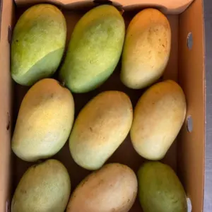 Fresh Mangoes - Image 2