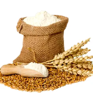 WHEAT FLOUR by Globwing International