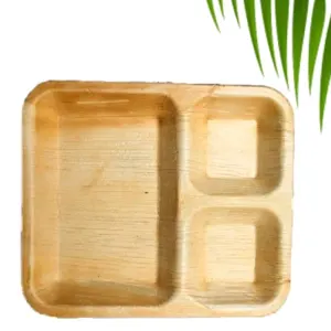 Areca Leaf Plates 3CP Square Dinner plate by Globwing International