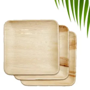 Areca Leaf Plates 10*10 Square plate