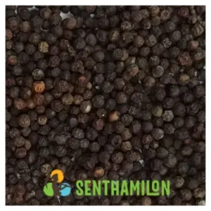 Black pepper - 11.5mm by Senthamilon Private Limited