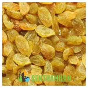 Raisins - Round -  Long - Black - Image 2