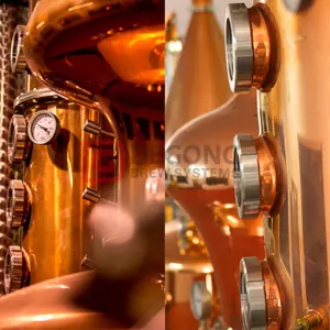 500L Column Still Vodka Gin Distillation Equipment by DEGONG equipment