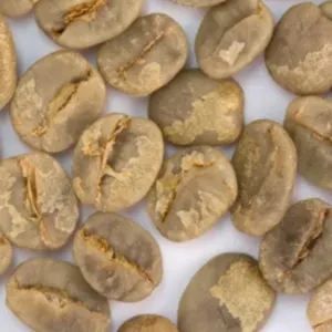 Green and Roasted Coffee Beans Brazil by Montoro Coffee LLC