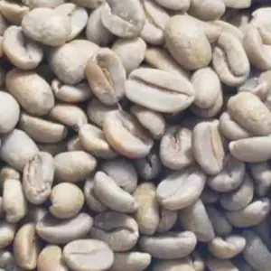 Green and Roasted Coffee Beans Burundi by Montoro Coffee LLC