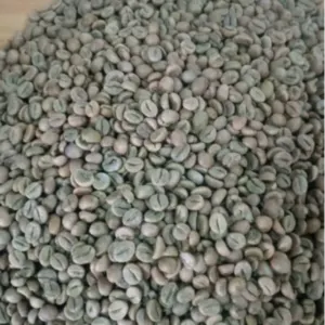 Green and Roasted Coffee Beans Uganda by Montoro Coffee LLC