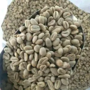 Green and Roasted Coffee Beans Ethiopia by Montoro Coffee LLC