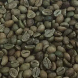 Green and Roasted Coffee Beans India by Montoro Coffee LLC