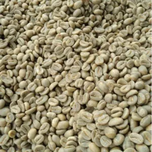 Green and Roasted Coffee Beans Vietnam by Montoro Coffee LLC