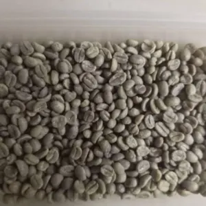 Green and Roasted Coffee Beans Rwanda by Montoro Coffee LLC