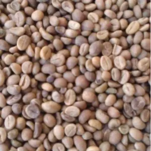Green and Roasted Coffee Beans Sierra Leone by Montoro Coffee LLC