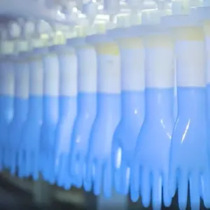 Nitrile Disposable Gloves Powder Free Gloves Available Now - Image 2