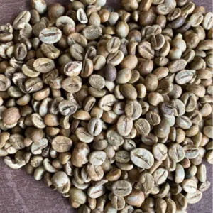 Green and Roasted Coffee Beans Dempo Mt Summatra by Montoro Coffee LLC