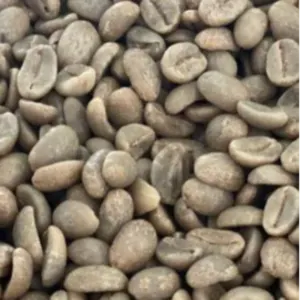 Green and Roasted Coffee Beans Honduras by Montoro Coffee LLC