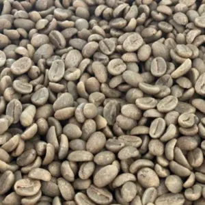 Green and Roasted Coffee Beans Nicaragua by Montoro Coffee LLC