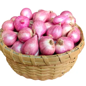 Onion - Image 2